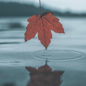 中国瑜伽美女性感丰满和猛男双飞操逼一级黄色
